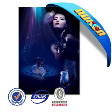 High Quality 3D Lenticular Posters Film